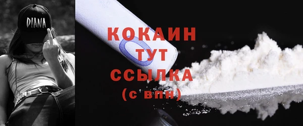 PSILOCYBIN Пересвет