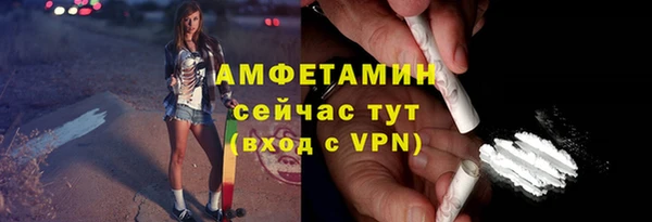 шишки Пестово