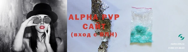PSILOCYBIN Пересвет